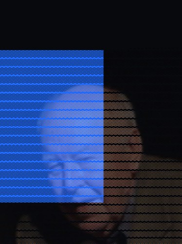 Kopfbilder 12 <strong>Yuri Denisyuk</strong>